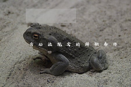 劳动法规定的辞职条件 劳动法规定的辞职条件