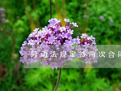 劳动法规定签两次合同以后 劳动法规定签两次合同以后