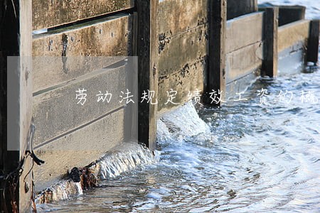 劳动法规定绩效工资的概念 劳动法规定绩效工资的概念