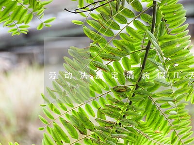劳动法规定请病假几天附请假条 劳动法规定请病假几天附请假条