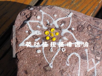劳动法规法律咨询 劳动法规法律咨询
