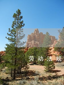 劳动法规违纪开除或除名处理 劳动法规违纪开除或除名处理