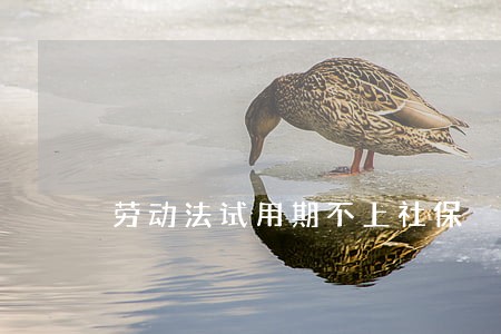 劳动法试用期不上社保 劳动法试用期不上社保