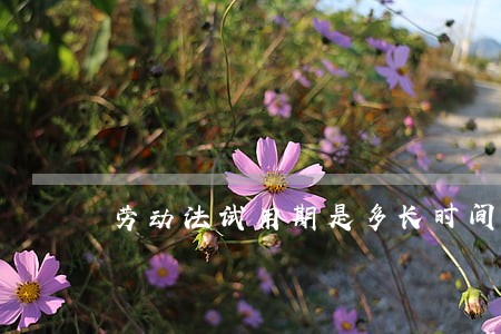 劳动法试用期是多长时间 劳动法试用期是多长时间
