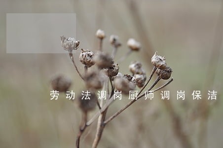 劳动法调岗厨师调岗保洁合理吗 劳动法调岗厨师调岗保洁合理吗