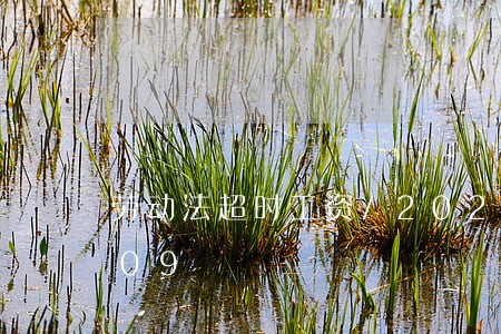 劳动法超时工资/2023021371009 劳动法超时工资/2023021371009