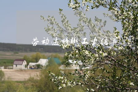 劳动法辞职工资结算 劳动法辞职工资结算