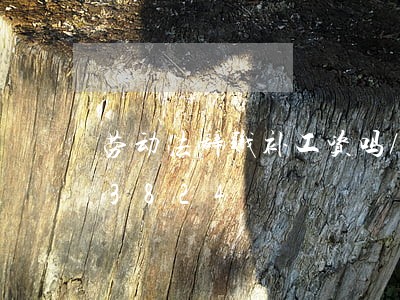 劳动法辞职补工资吗/2023021043824 劳动法辞职补工资吗/2023021043824