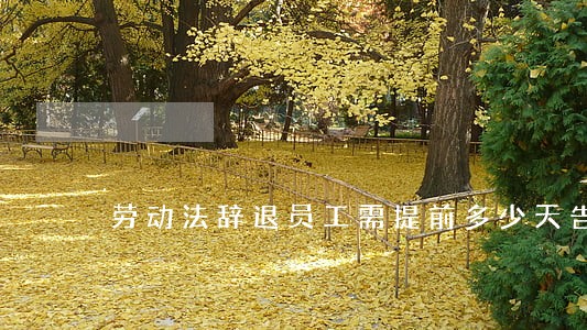 劳动法辞退员工需提前多少天告知 劳动法辞退员工需提前多少天告知