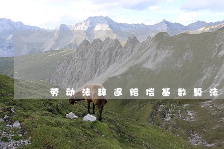 劳动法辞退赔偿基数算法 劳动法辞退赔偿基数算法