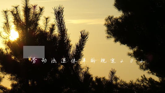 劳动法退休年龄规定202 劳动法退休年龄规定202