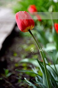 劳动法那些险必上 劳动法那些险必上