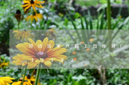 劳动法里产假工资咋算/2023021072192 劳动法里产假工资咋算/2023021072192