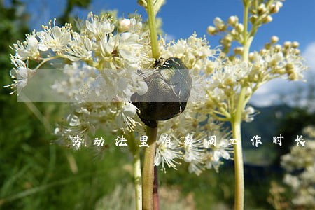 劳动法里有每周工作时长吗