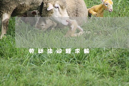 劳动法问题求解 劳动法问题求解