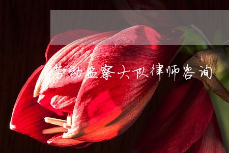 劳动监察大队律师咨询 劳动监察大队律师咨询