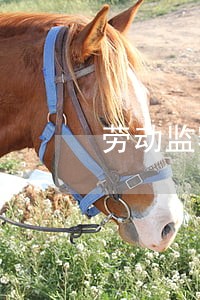 劳动监察申请法院强制执行 劳动监察申请法院强制执行