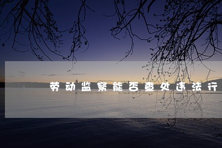 劳动监察能否查处违法行为 劳动监察能否查处违法行为
