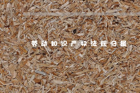 劳动知识产权法规归属 劳动知识产权法规归属