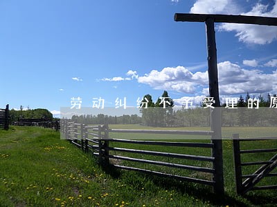 劳动纠纷不予受理的原因