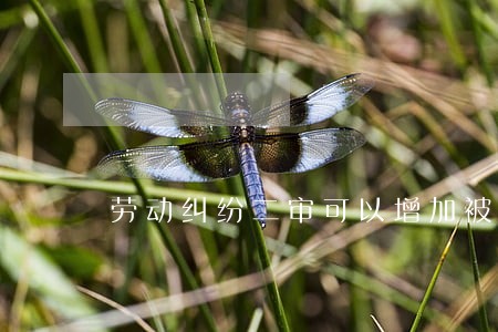 劳动纠纷二审可以增加被告吗 劳动纠纷二审可以增加被告吗
