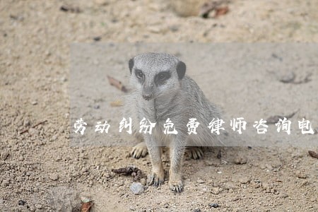劳动纠纷免费律师咨询电话 劳动纠纷免费律师咨询电话