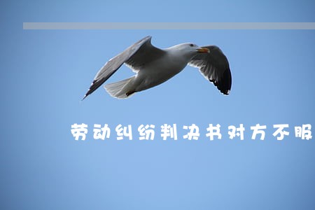 劳动纠纷判决书对方不服 劳动纠纷判决书对方不服