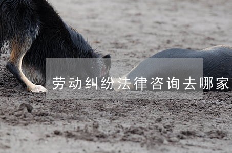 劳动纠纷法律咨询去哪家 劳动纠纷法律咨询去哪家