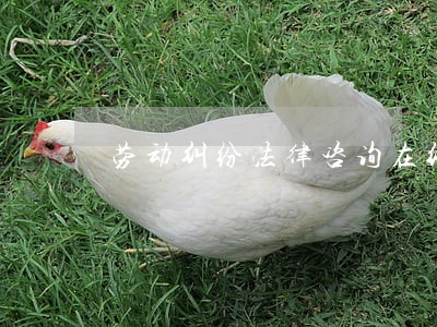 劳动纠纷法律咨询在线 劳动纠纷法律咨询在线