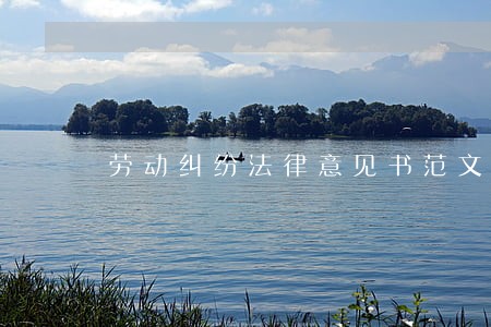 劳动纠纷法律意见书范文 劳动纠纷法律意见书范文
