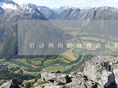 劳动纠纷的处理途径包含哪些