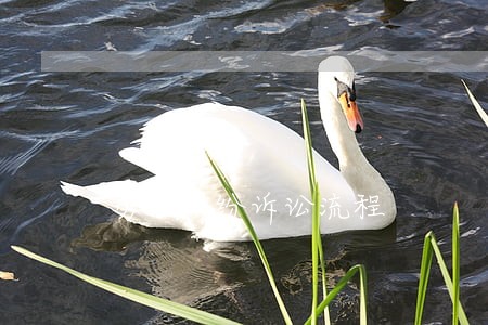 劳动纠纷诉讼流程 劳动纠纷诉讼流程