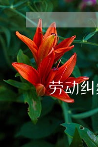 劳动纠纷起诉到法院要请律师吗