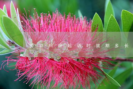 劳动纠纷起诉时效期多长时间