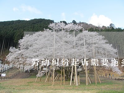 劳动纠纷起诉需要拖多久 劳动纠纷起诉需要拖多久