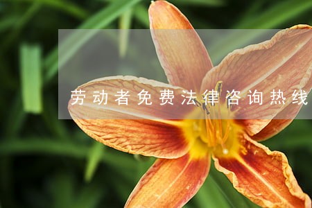 劳动者免费法律咨询热线 劳动者免费法律咨询热线