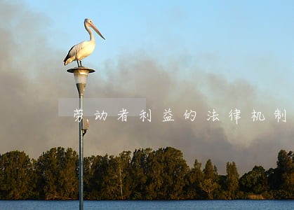 劳动者利益的法律机制探索 劳动者利益的法律机制探索
