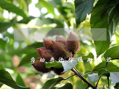 劳动者法律援助电话 劳动者法律援助电话