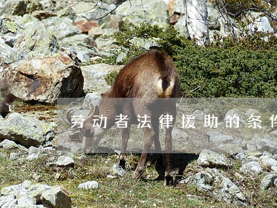 劳动者法律援助的条件 劳动者法律援助的条件