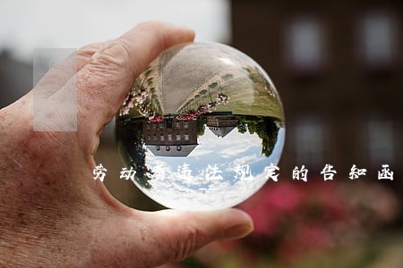 劳动者违法规定的告知函 劳动者违法规定的告知函