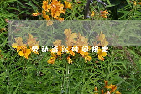 劳动诉讼时间规定 劳动诉讼时间规定