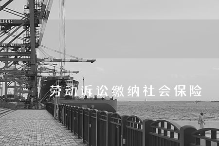 劳动诉讼缴纳社会保险 劳动诉讼缴纳社会保险