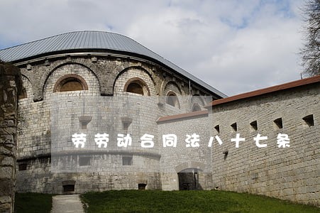 劳劳动合同法八十七条