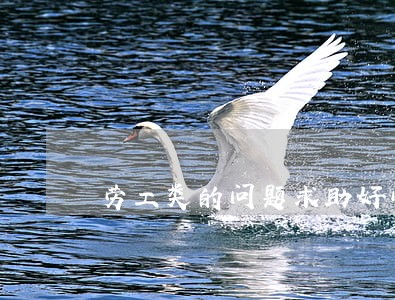 劳工类的问题求助好心律师 劳工类的问题求助好心律师