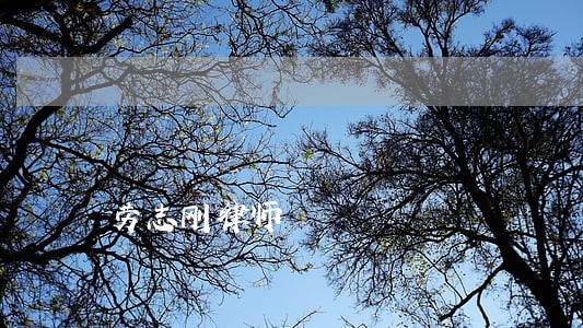 劳志刚律师 劳志刚律师