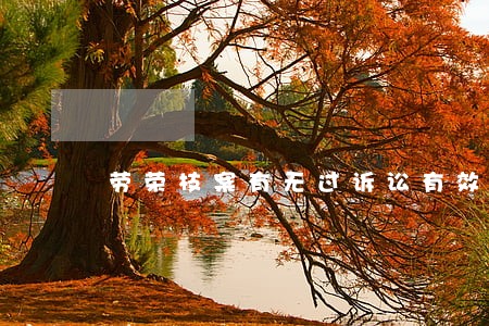 劳荣枝案有无过诉讼有效期 劳荣枝案有无过诉讼有效期
