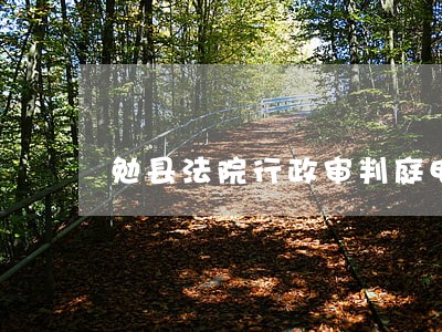 勉县法院行政审判庭电话