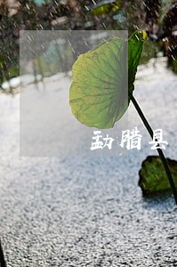 勐腊县房产纠纷律师在线免费咨询 勐腊县房产纠纷律师在线免费咨询