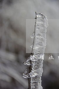 勐腊法院拍卖 勐腊法院拍卖