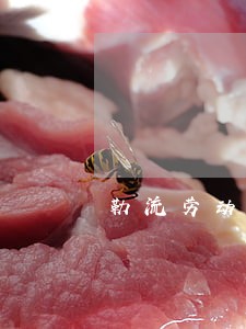 勒流劳动仲裁在线咨询